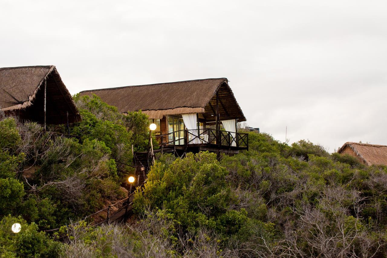 Paradise Dunes Tofo Ngoại thất bức ảnh